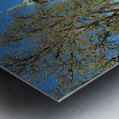 Germany Bavaria Romantic Road. Rottenbuch. Maria Geburt Church Metal print