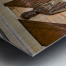 St. Petersburg Russia. The entrance of Mayakovskaya metro station Metal print