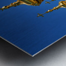 St. Petersburg Russia. Peterhof Palace Metal print