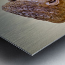 Athens Greece. The National Archaeological Museum Metal print