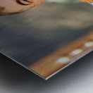 Syria. Aleppo. Man smoking hookah Metal print