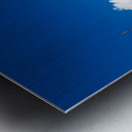 Istanbul Turkey. The Fatih Mosque Metal print