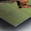 Mongolia. A sheperd riding his horse. Metal print