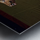 BHUTAN. Festivals in Bumthang Valley Metal print