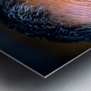 BHUTAN. Bumthang Valley Metal print