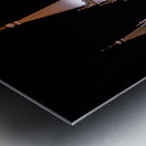 Salt Lake Mormon Temple. Salt Lake City Utah USA Metal print