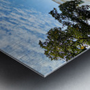 The White House. Washington D.C. Metal print