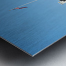 The White House. Washington D.C. Metal print