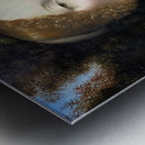 Leonardo da Vinci - Ginevra de Benci -147478 Metal print