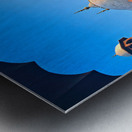 Pakistan. Badshahi mosque in Lahore Metal print