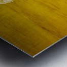 ANDALUSIA SPAIN. Bullfight in Seville Arena Metal print