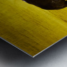 ANDALUSIA SPAIN. Bullfight in Seville Arena Metal print