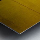 ANDALUSIA SPAIN. Bullfight in Seville Arena Metal print