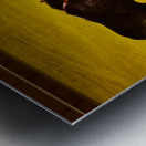 ANDALUSIA SPAIN. Bullfight in Seville Arena Metal print