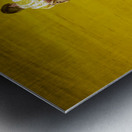 ANDALUSIA SPAIN. Bullfight in Seville Arena Metal print