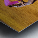 ANDALUSIA SPAIN. Bullfight in Seville Arena Metal print