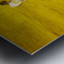 ANDALUSIA SPAIN. Bullfight in Seville Arena Metal print