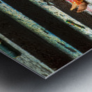 Nepal. Kathmandu. Cremation in Pashupatinath Metal print