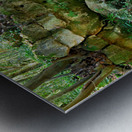 Caserta Campania Italy. The Royal Palace. The bath of Venus Metal print