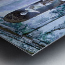 Caserta Campania Italy. The Royal Palace. The Cryptoporticus at the Bath of Venus Metal print