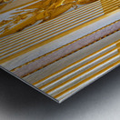 Caserta Campania Italy. The Royal Palace. The throne room Metal print