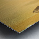 Naples Campania Italy. The National Archaeological Museum of Naples Museo Archeologico Nazionale di Napoli Metal print