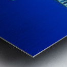 Pisa Tuscany Italy. Piazza dei Miracoli Square of Miracles. The Cathedral at sunset Metal print