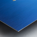 Salento. Apulia Puglia Italy. Nardò. Salandra square. 18th century column Metal print