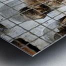 Mummified bodies in Palermo Catacombs. Italy Metal print