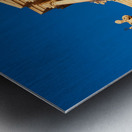 The Cathedral of Syracuse Duomo di Siracusa formally the Cattedrale metropolitana della Natività di Maria Santissima is an ancient Catholic church in Syracuse Sicily the seat of the Roman Catholic Archdiocese of Siracusa. Its structure is originally a Gre Metal print