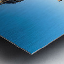 Metropolitan Cathedral of Saint Agatha Duomo Catania Sicily Italy Metal print