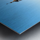 Metropolitan Cathedral of Saint Agatha Duomo Catania Sicily Italy Metal print