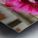 Venice Italy. The Carnival Metal print