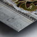 Venice Italy. The Carnival Metal print