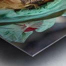 Venice Italy. The Carnival Metal print