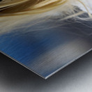 Venice Italy. The Carnival Metal print