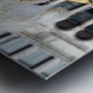 Venice Italy. The Carnival Metal print