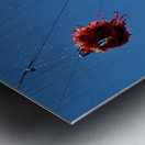 Venice Italy. The Carnival Metal print