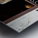 Venice Italy. The Carnival Metal print