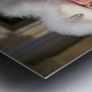 Venice Italy. The Carnival Metal print