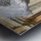 Venice Italy. The Carnival Metal print