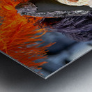 Venice Italy. The Carnival Metal print