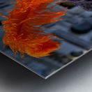 Venice Italy. The Carnival Metal print