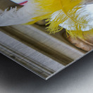 Venice Italy. The Carnival Metal print