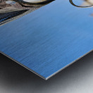 Venice Italy. The Carnival Metal print