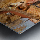 Venice Italy. The Carnival Metal print