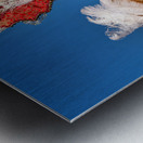 Venice Italy. The Carnival Metal print