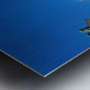 Venice Italy. The Carnival Metal print