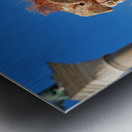 Venice Italy. The Carnival Metal print