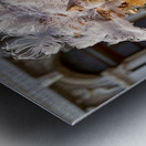 Venice Italy. The Carnival Metal print